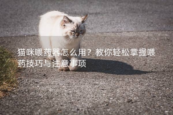 貓咪喂藥器怎么用？教你輕松掌握喂藥技巧與注意事項