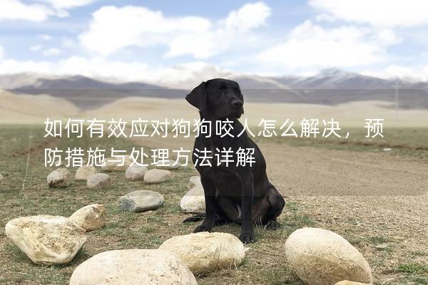 如何有效應對狗狗咬人怎么解決，預防措施與處理方法詳解