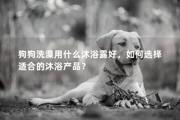 狗狗洗澡用什么沐浴露好，如何選擇適合的沐浴產(chǎn)品？