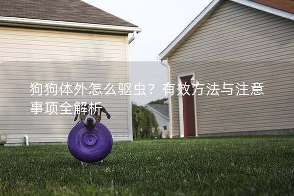 狗狗體外怎么驅(qū)蟲？有效方法與注意事項(xiàng)全解析