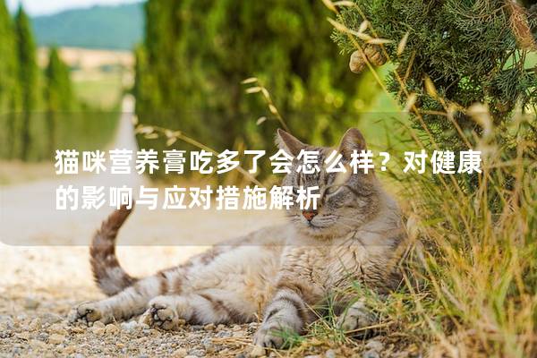 貓咪營養(yǎng)膏吃多了會怎么樣？對健康的影響與應(yīng)對措施解析