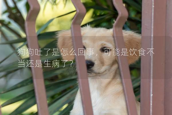 狗狗吐了是怎么回事，可能是飲食不當(dāng)還是生病了？