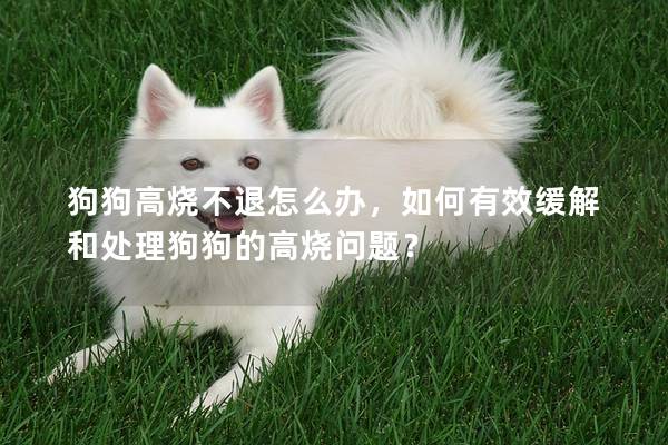 狗狗高燒不退怎么辦，如何有效緩解和處理狗狗的高燒問題？