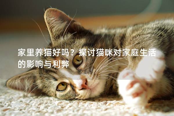 家里養(yǎng)貓好嗎？探討貓咪對家庭生活的影響與利弊