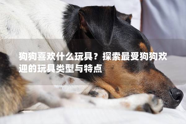 狗狗喜歡什么玩具？探索最受狗狗歡迎的玩具類型與特點