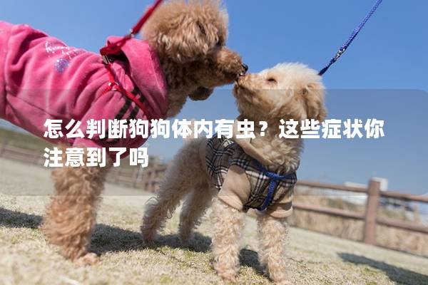 怎么判斷狗狗體內有蟲？這些癥狀你注意到了嗎