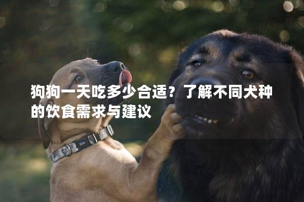 狗狗一天吃多少合適？了解不同犬種的飲食需求與建議