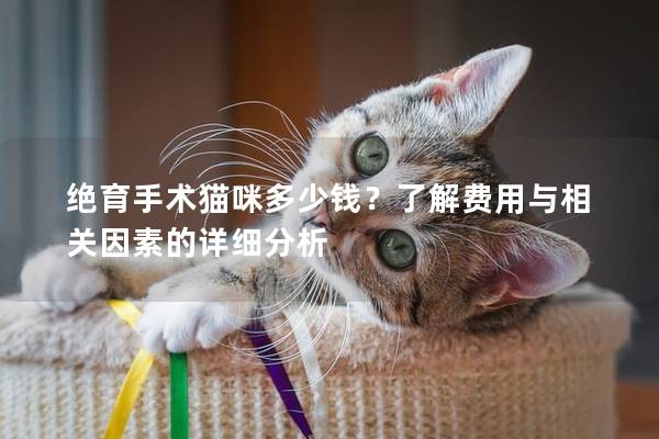 絕育手術貓咪多少錢？了解費用與相關因素的詳細分析