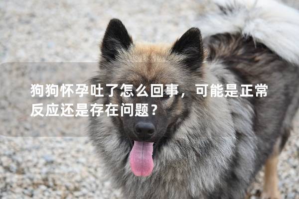 狗狗懷孕吐了怎么回事，可能是正常反應還是存在問題？