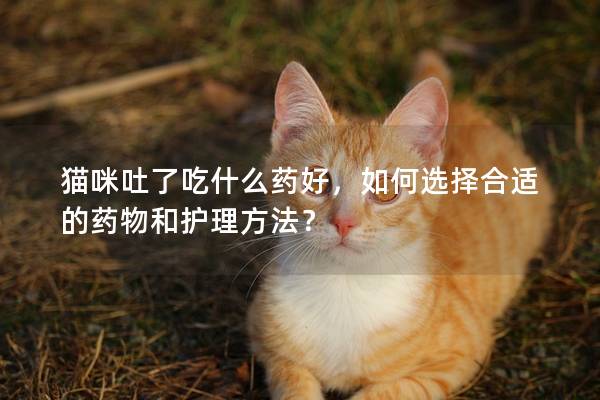 貓咪吐了吃什么藥好，如何選擇合適的藥物和護理方法？