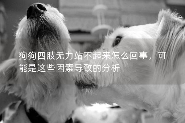 狗狗四肢無力站不起來怎么回事，可能是這些因素導致的分析