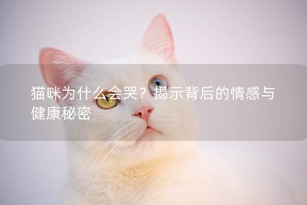 貓咪為什么會哭？揭示背后的情感與健康秘密