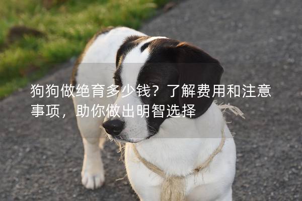 狗狗做絕育多少錢?了解費(fèi)用和注意事項(xiàng),助你做出明智選擇 狗狗做絕育多少錢?了解費(fèi)用和注意事項(xiàng),助你做出明智選擇