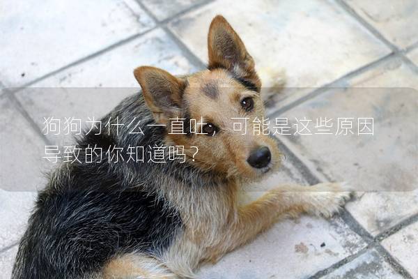 狗狗為什么一直吐，可能是這些原因?qū)е碌哪阒绬幔?></em><p>狗狗為什么一直吐，可能是這些原因?qū)е碌哪阒绬幔?/p><span>2025-05-14</span></a></li><li><a title=