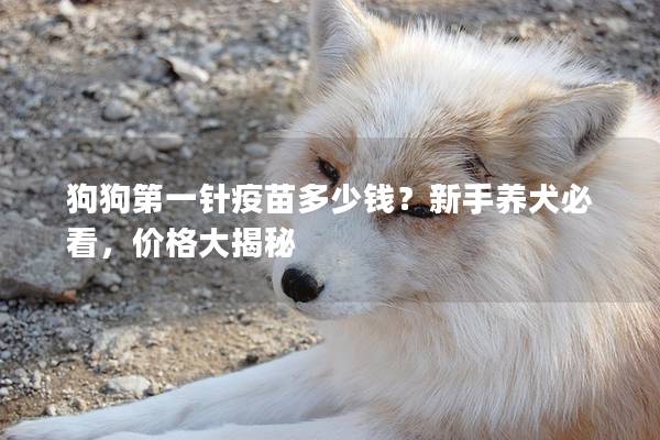 狗狗第一針疫苗多少錢？新手養(yǎng)犬必看，價格大揭秘