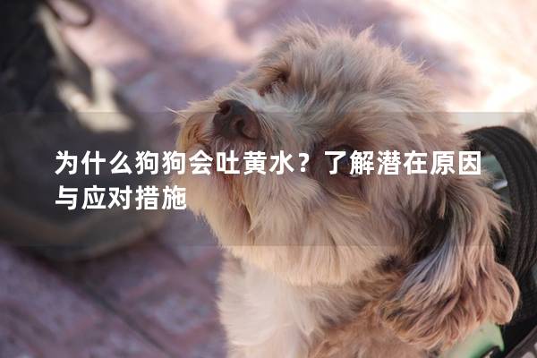 為什么狗狗會吐黃水？了解潛在原因與應對措施