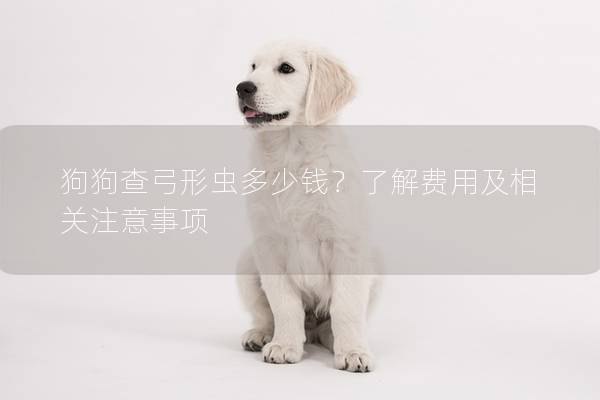 狗狗查弓形蟲多少錢？了解費(fèi)用及相關(guān)注意事項(xiàng)