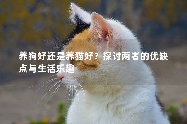 養狗好還是養貓好？探討兩者的優缺點與生活樂趣