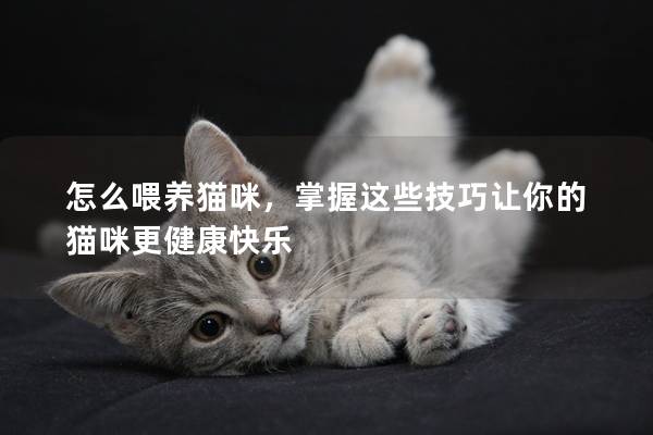 怎么喂養(yǎng)貓咪，掌握這些技巧讓你的貓咪更健康快樂