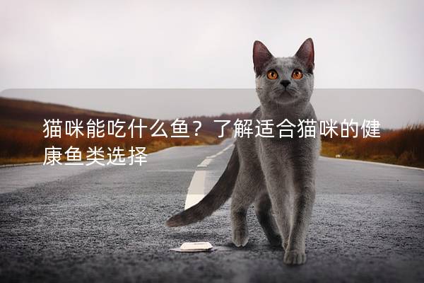 貓咪能吃什么魚？了解適合貓咪的健康魚類選擇