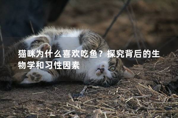 貓咪為什么喜歡吃魚？探究背后的生物學(xué)和習(xí)性因素