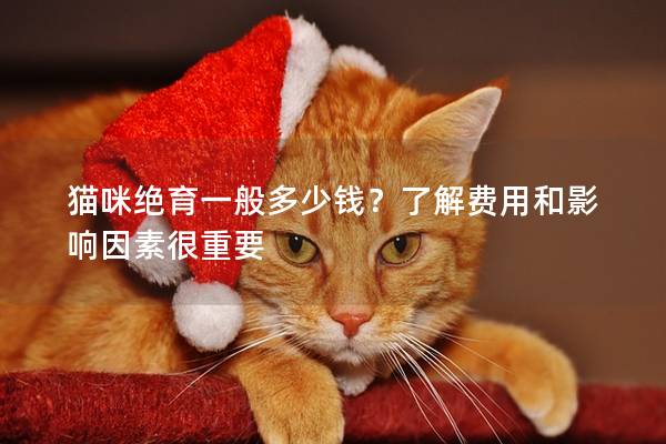 貓咪絕育一般多少錢(qián)？了解費(fèi)用和影響因素很重要