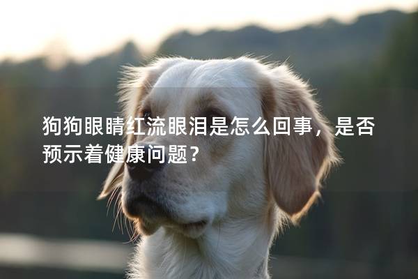 狗狗眼睛紅流眼淚是怎么回事，是否預示著健康問題？