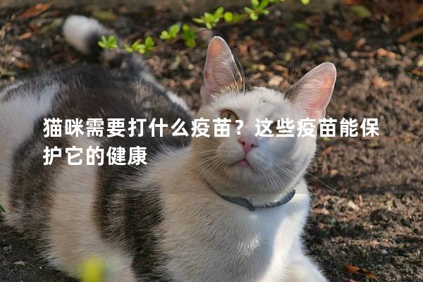 貓咪需要打什么疫苗？這些疫苗能保護它的健康