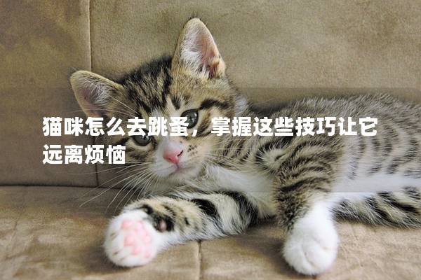 貓咪怎么去跳蚤，掌握這些技巧讓它遠離煩惱