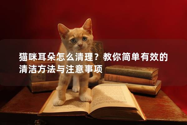 貓咪耳朵怎么清理？教你簡單有效的清潔方法與注意事項