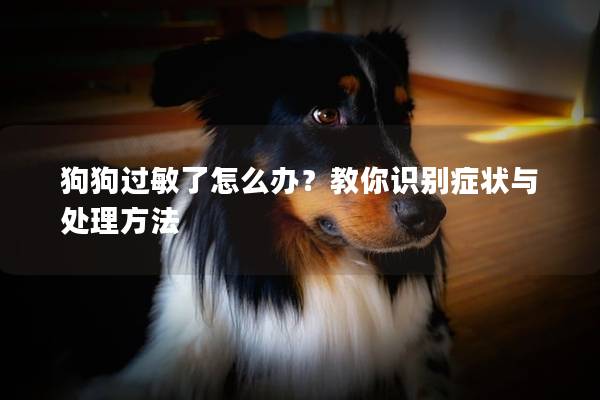 狗狗過敏了怎么辦？教你識別癥狀與處理方法