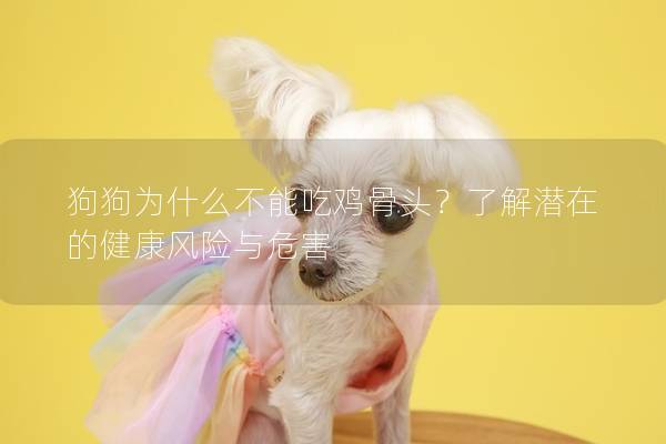 狗狗為什么不能吃雞骨頭？了解潛在的健康風險與危害