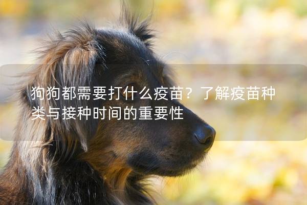 狗狗都需要打什么疫苗?了解疫苗種類與接種時間的重要性 狗狗都需要打什么疫苗?了解疫苗種類與接種時間的重要性