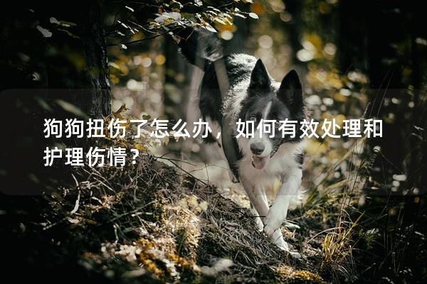 狗狗扭傷了怎么辦,如何有效處理和護理傷情? 狗狗扭傷了怎么辦,如何有效處理和護理傷情?