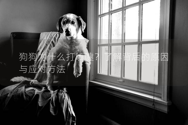 狗狗為什么打噴嚏？了解背后的原因與應對方法