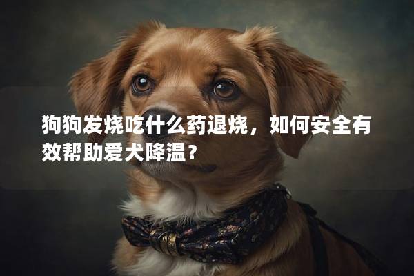 狗狗發(fā)燒吃什么藥退燒，如何安全有效幫助愛(ài)犬降溫？