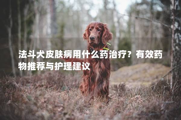 法斗犬皮膚病用什么藥治療？有效藥物推薦與護(hù)理建議