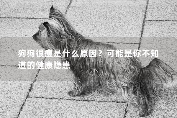 狗狗很瘦是什么原因？可能是你不知道的健康隱患
