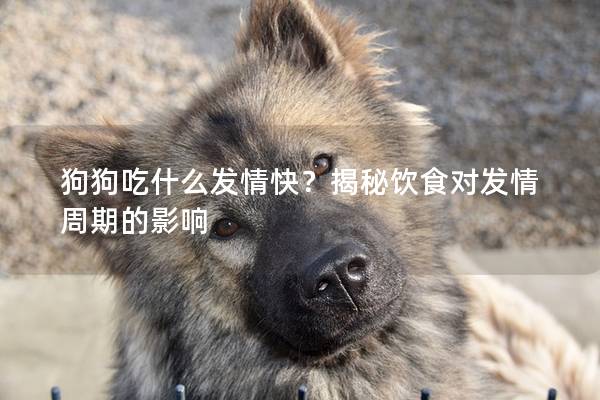 狗狗吃什么發(fā)情快?揭秘飲食對發(fā)情周期的影響 狗狗吃什么發(fā)情快?揭秘飲食對發(fā)情周期的影響
