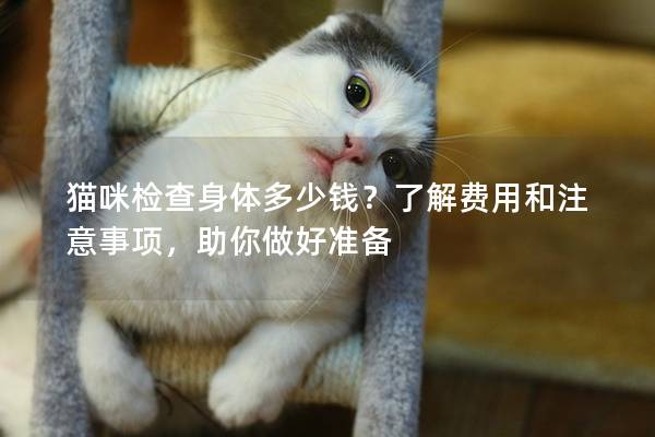 貓咪檢查身體多少錢？了解費用和注意事項，助你做好準備