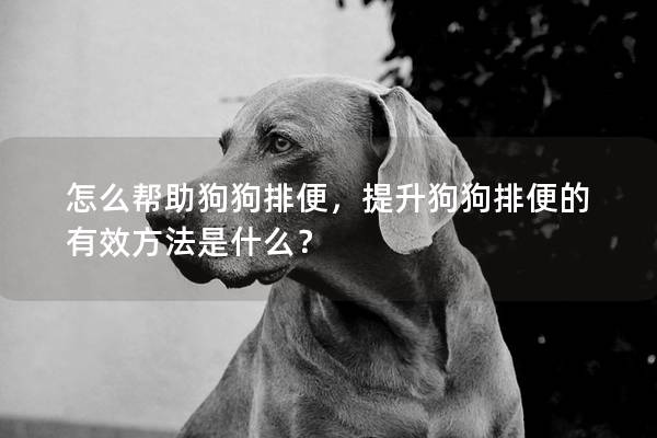 怎么幫助狗狗排便，提升狗狗排便的有效方法是什么？