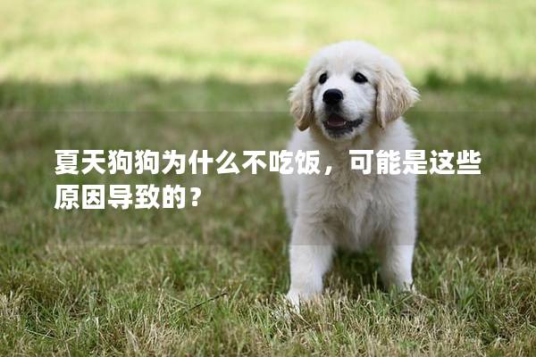 夏天狗狗為什么不吃飯，可能是這些原因?qū)е碌模?></em><p>夏天狗狗為什么不吃飯，可能是這些原因?qū)е碌模?/p><span>2025-01-26</span></a></li> 
                                            </ul>
                                        </div>

                                        <div   id=