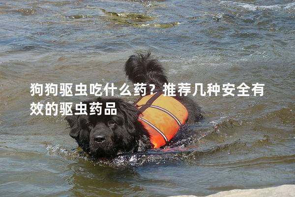 狗狗驅蟲吃什么藥?推薦幾種安全有效的驅蟲藥品 狗狗驅蟲吃什么藥?推薦幾種安全有效的驅蟲藥品