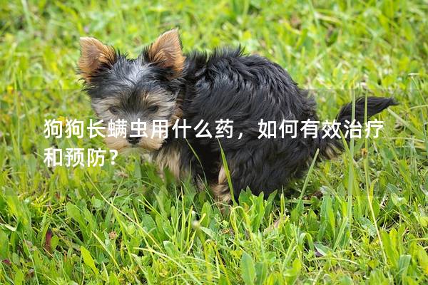 狗狗長螨蟲用什么藥，如何有效治療和預防？
