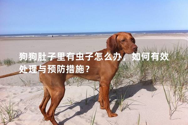 狗狗肚子里有蟲子怎么辦，如何有效處理與預防措施？