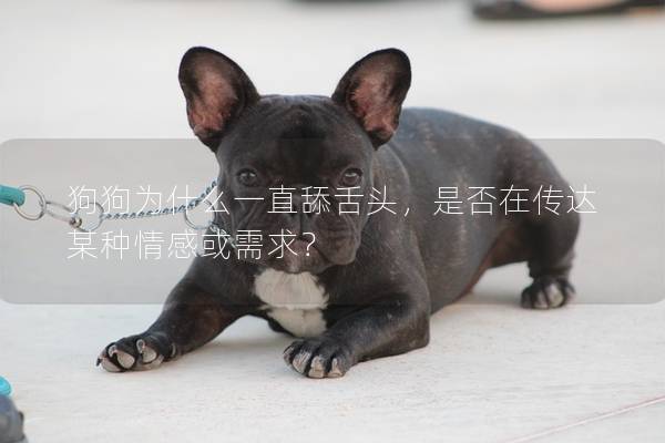 狗狗為什么一直舔舌頭，是否在傳達某種情感或需求？