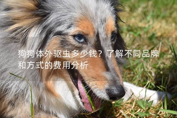 狗狗體外驅(qū)蟲多少錢？了解不同品牌和方式的費用分析