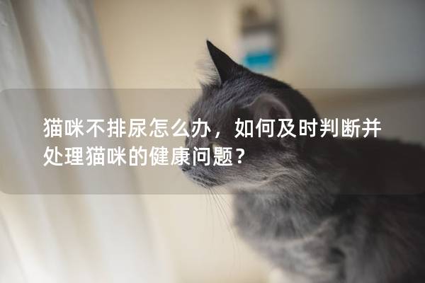 貓咪不排尿怎么辦，如何及時(shí)判斷并處理貓咪的健康問題？