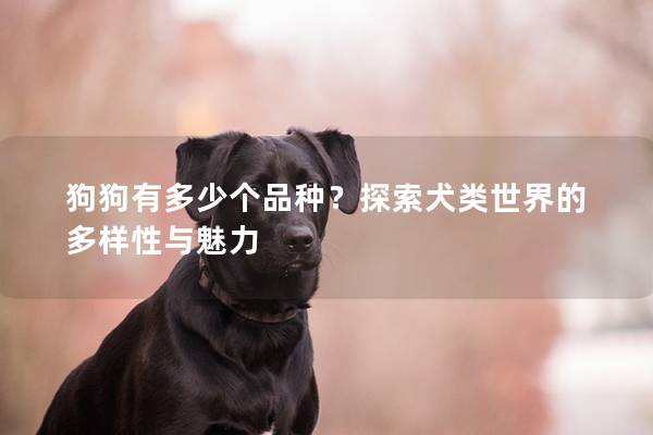 狗狗有多少個(gè)品種？探索犬類世界的多樣性與魅力