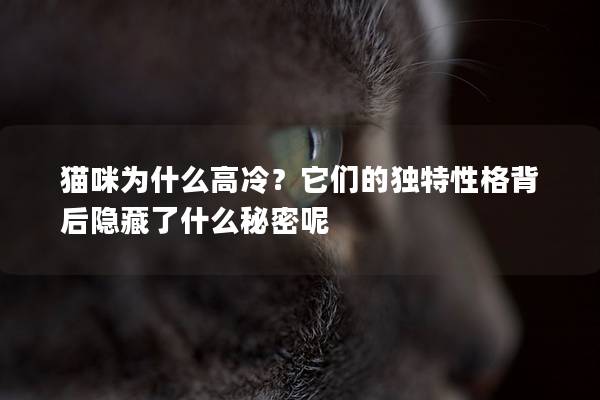 貓咪為什么高冷？它們的獨特性格背后隱藏了什么秘密呢